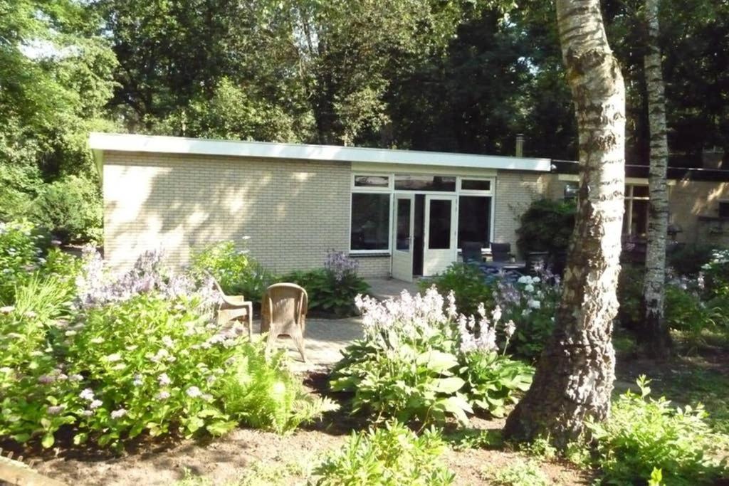 Luxe Recreatiebungalow ゼルヘーム エクステリア 写真